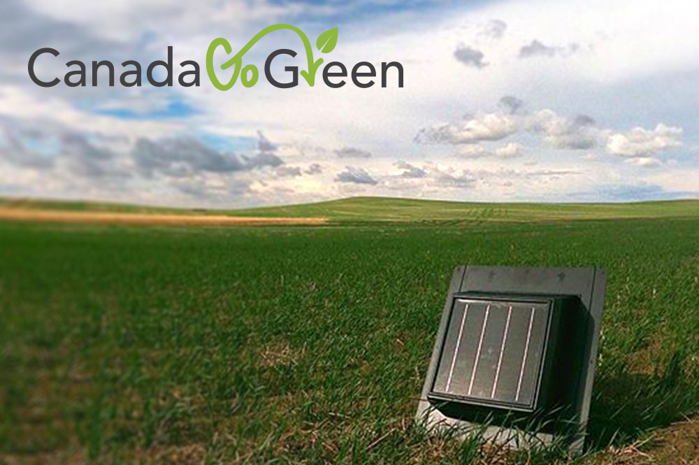 canada-go-green-feature