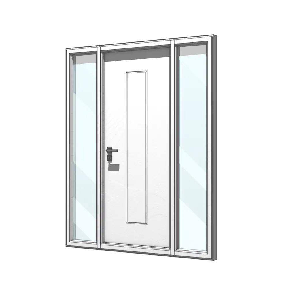 Single Door with Double Sidelit